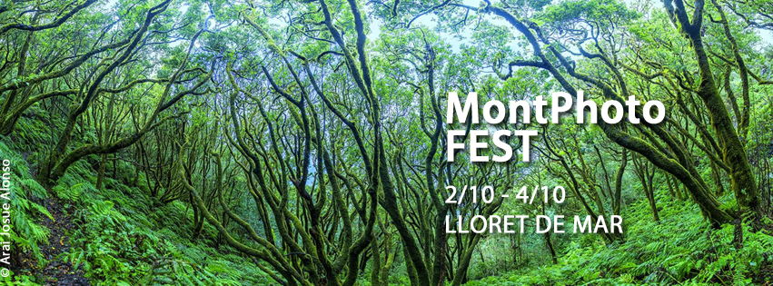 MontPhoto FEST 2015