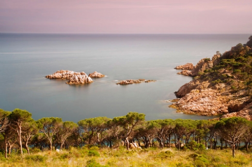 S.O.S. PAISAJES DEL MAR EN LLORET