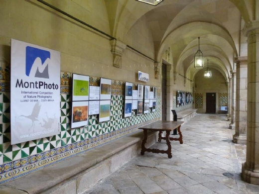 MONTPHOTO: COMPROMISO CON LA CONSERVACI�N