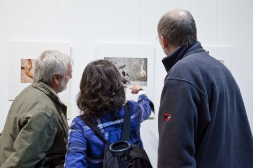 Un dif�cil veredicto en MontPhoto 2011