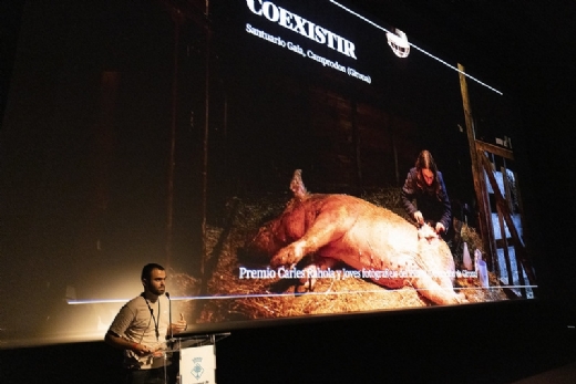 OPEN CALL - PONENTES PARA MONTPHOTO FEST 2026