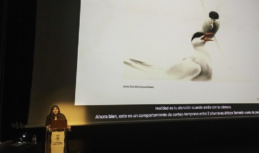 8 de marzo. Miradas que vamos conquistado