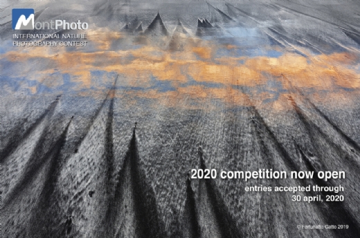 NOVEDADES EN LA EDICIN MONTPHOTO 2020