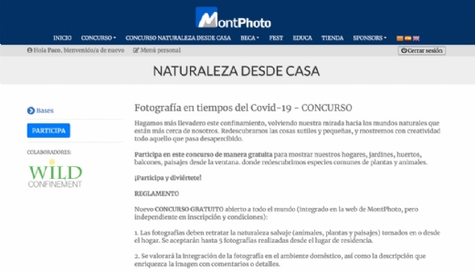 NUEVO CONCURSO GRATUITO. FOTOGRAFIA LA NATURALEZA DESDE CASA