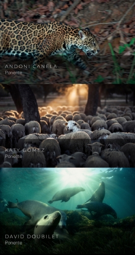 PROGRAMA MONTPHOTO 2020