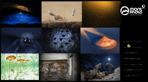 Celebra con nosotros la 30a edici�n de MontPhoto. �Sube tus fotos!