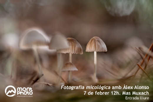 Asamblea MontPhoto 2026. Tradicional Cal�otada y encuentro de amigos