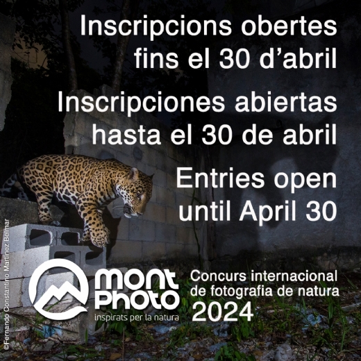 Ya puedes subir tus fotos a MontPhoto 2024