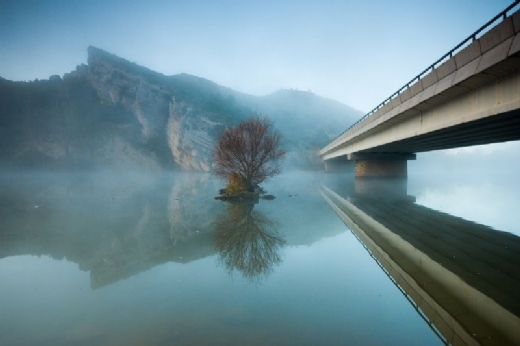 Radiograf�a, de David Barrio, gran triunfadora de MontPhoto 2011