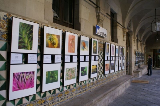 MontPhoto en el Institut d'Estudis Catalans