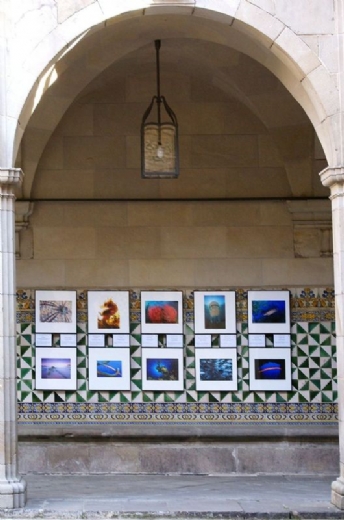 MontPhoto en el Institut d'Estudis Catalans