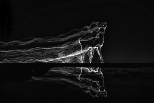 Night Walking, de Irma Zsabo Premio de Honor de MontPhoto 2024