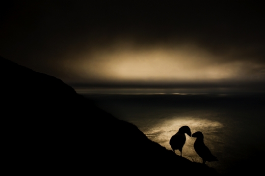DESCUBRE LOS PRIMEROS FINALISTAS DE MONTPHOTO 2020!
