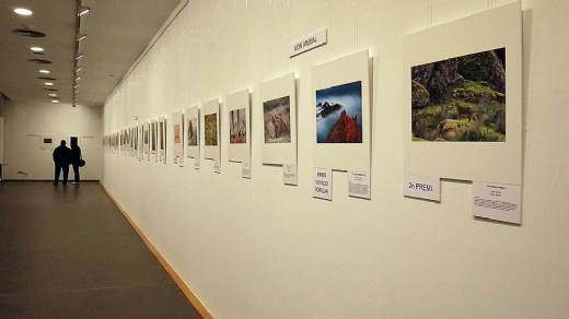 EXPOSICI�N MONTPHOTO 2011