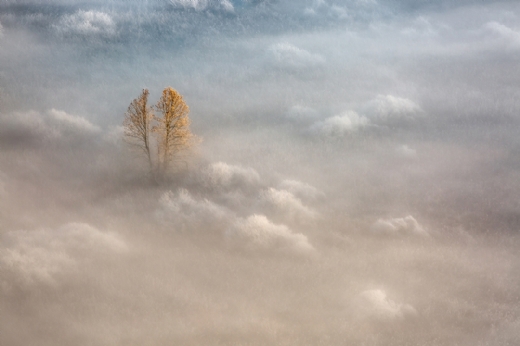 Night Walking, de Irma Zsabo Premio de Honor de MontPhoto 2024