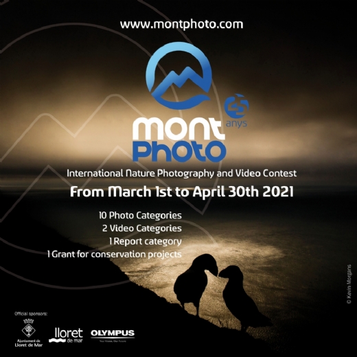 SECCIN OFICIAL MONTPHOTO MULTIMEDIA STORYTELLING