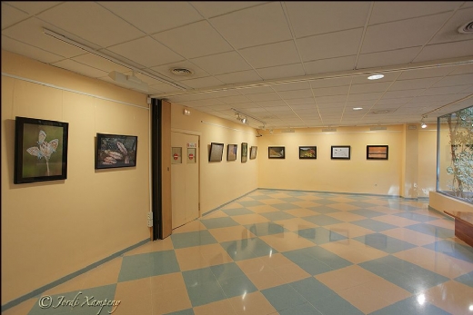 EXPOSICI�N MONTPHOTO 2011