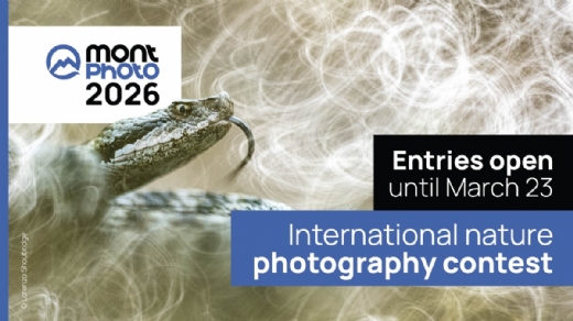 Celebra con nosotros la 30a edici�n de MontPhoto. �Sube tus fotos!