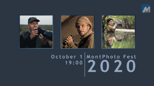 PUEDES VER TODOS LOS VDEOS DE MONTPHOTO FEST 2020