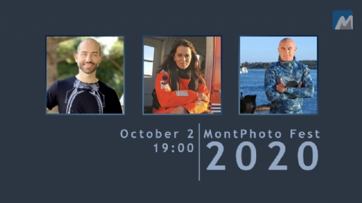 PUEDES VER TODOS LOS VDEOS DE MONTPHOTO FEST 2020