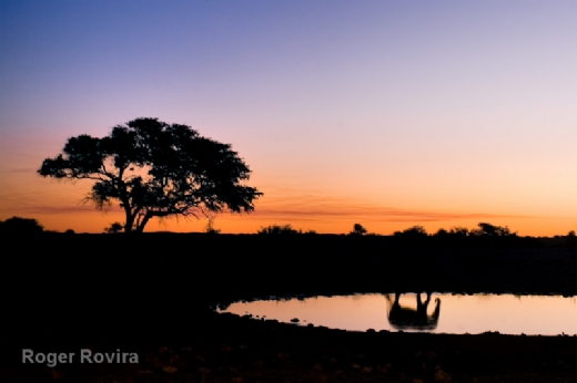 MONTPHOTO 2013 PRESENTAR� NUEVAMENTE ALGUNAS NOVEDADES