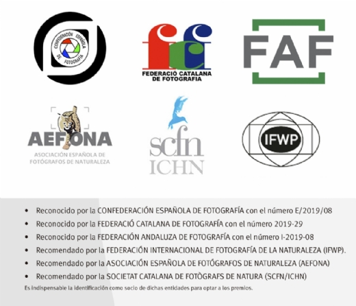El jurado continua seleccionando imgenes