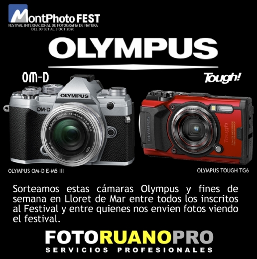 PROGRAMA MONTPHOTO 2020