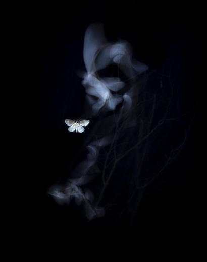 Night Walking, de Irma Zsabo Premio de Honor de MontPhoto 2024