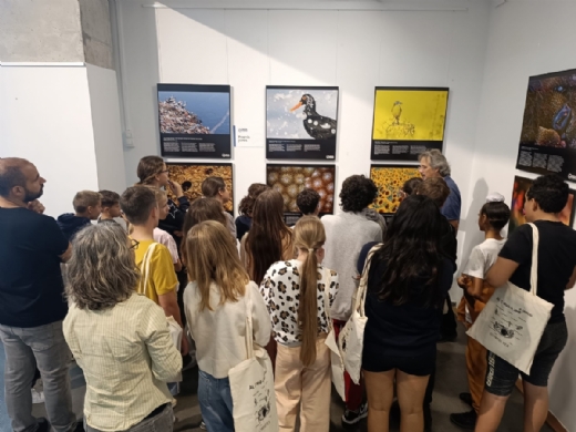 La exposicin de MontPhoto al servicio de la educacin