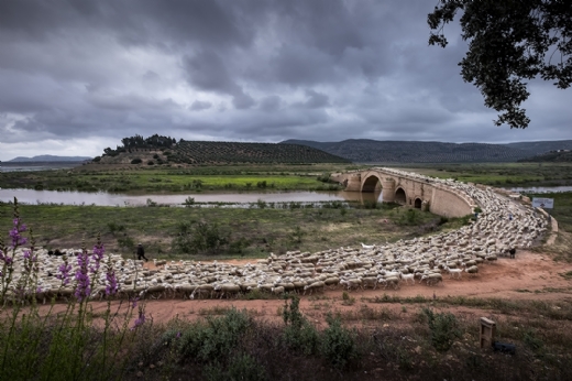 Socios premiados en el concurso MontPhoto 2025