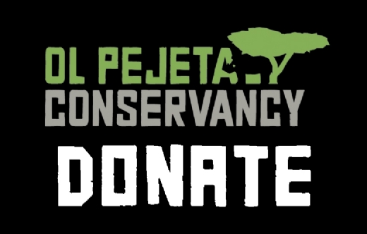 El festival MONTPHOTO celebra su 25 aniversario con una apuesta clara por la conservacin de la naturaleza