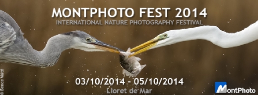 MONTPHOTO FEST 2014 - 3, 4 y 5 de OCTUBRE