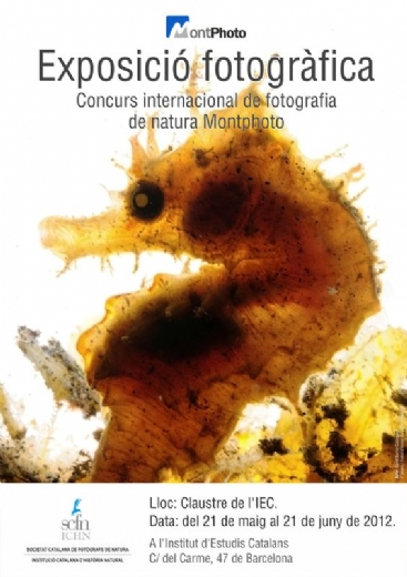 MontPhoto en el Institut d'Estudis Catalans