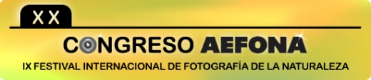 PROGRAMA DEL CONGRESO DE AEFONA