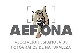 PREMIOS AEFONA INTEGRADOS EN MONTPHOTO 2013