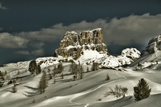 VEREDICTO MONTPHOTO 2008