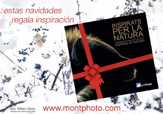 ESTAS NAVIDADES REGALA INSPIRACIN