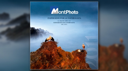 Inspirados por la naturaleza. Portfolio MontPhoto 2011