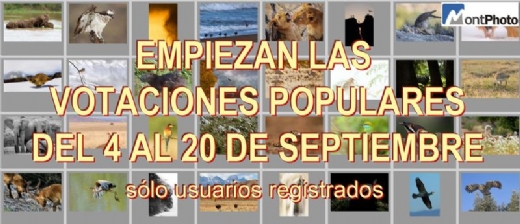 EMPIEZAN LAS VOTACIONES POPULARES DEL 4 AL 20 DE SEPTIEMBRE