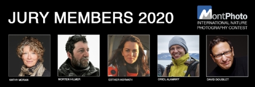 Nuevo record de participaci�n en MontPhoto 2020