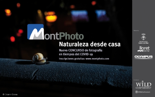 NUEVO CONCURSO GRATUITO. FOTOGRAFIA LA NATURALEZA DESDE CASA