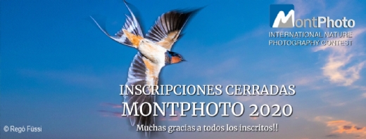 Nuevo record de participaci�n en MontPhoto 2020