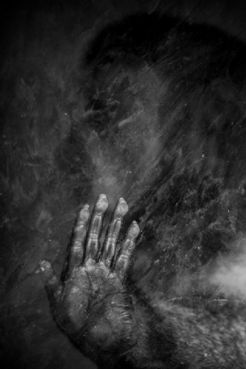 Opresi�n de Miguel Angel Rubio Premio MontPhoto 2018